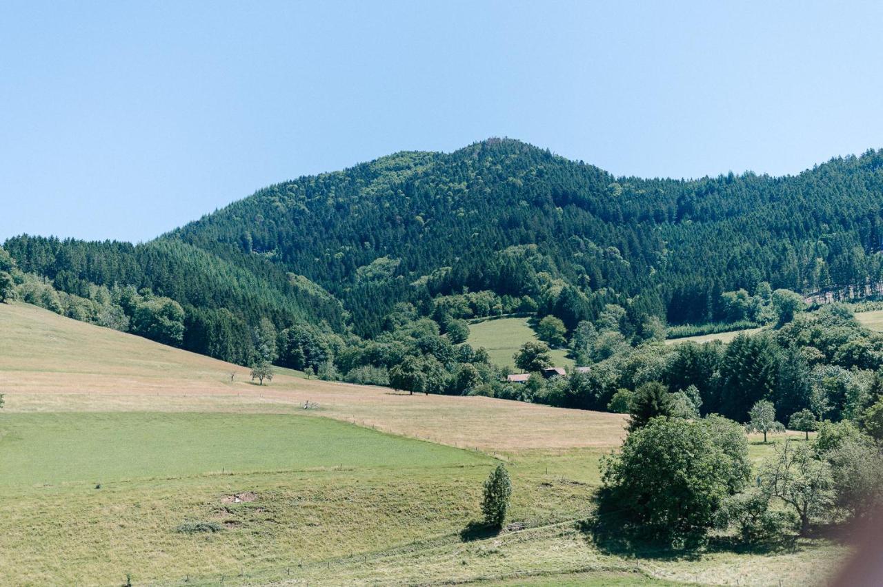 Moderne 2 Zi.FeWo BlackForest Art Nähe Freiburg Simonswald Exterior foto