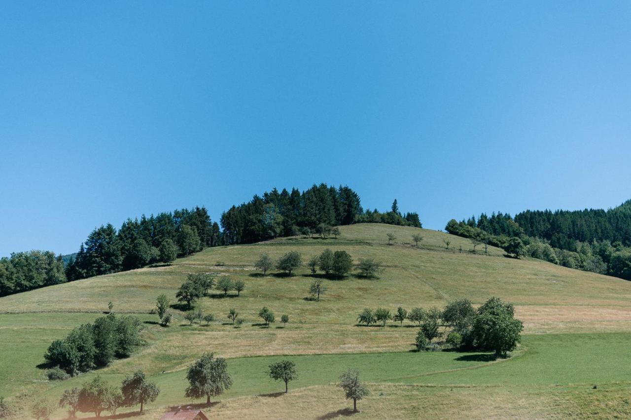 Moderne 2 Zi.FeWo BlackForest Art Nähe Freiburg Simonswald Exterior foto